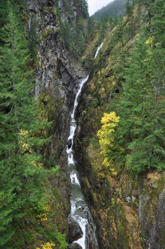Rio cheio de corredeiras no North Cascades National Park, no estado de Washington, noroeste dos  Estados Unidos